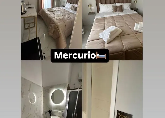 Vener Luxury